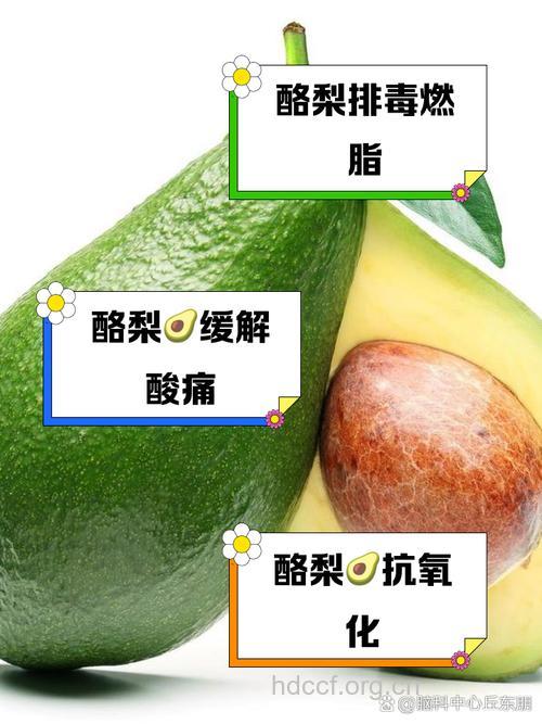 酪梨的四大功效 吃起来像奶酪的水果