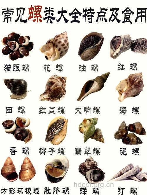 香螺
