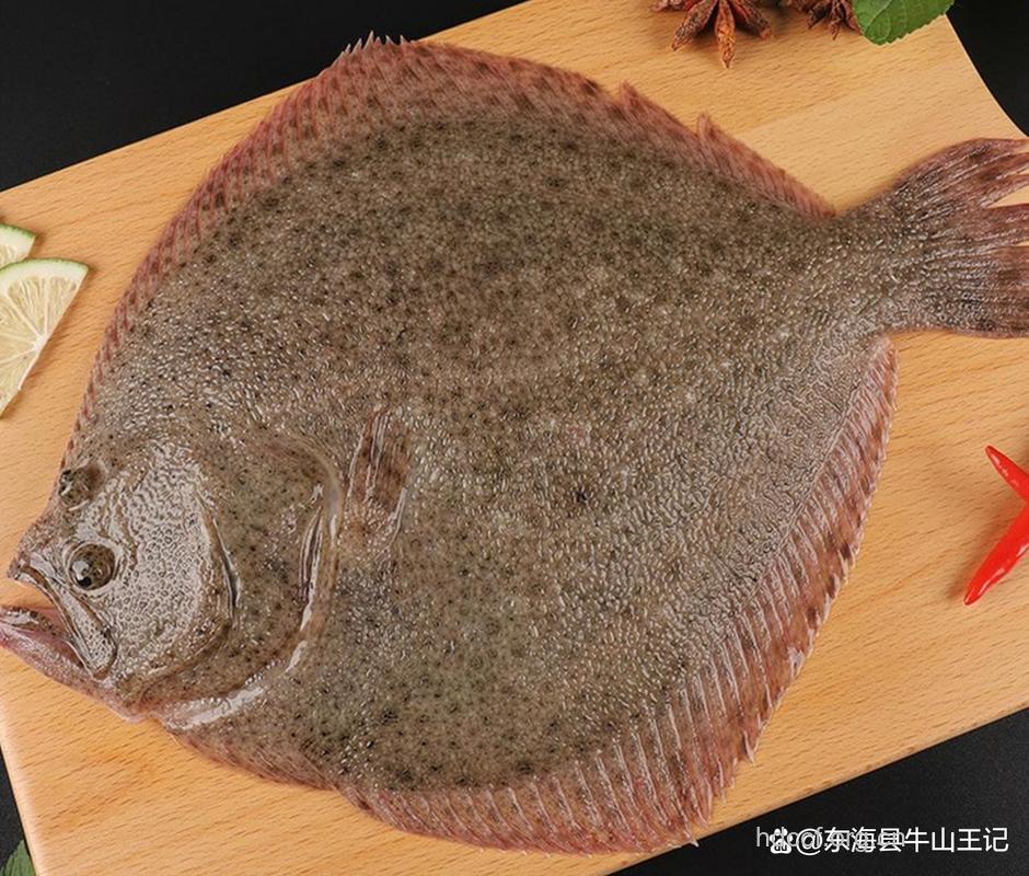 比目鱼
