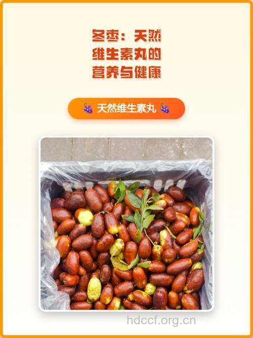 活维生素丸 冬枣的五大功效