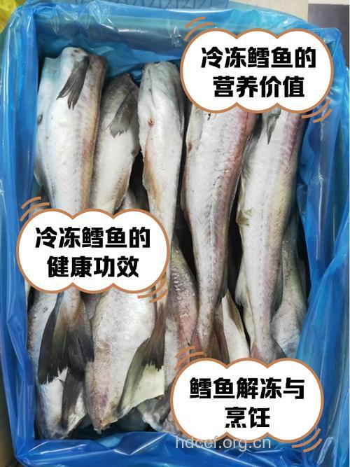 鳕鱼（食材百科）