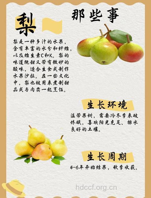 雪花梨的6大营养 吃梨就该选它