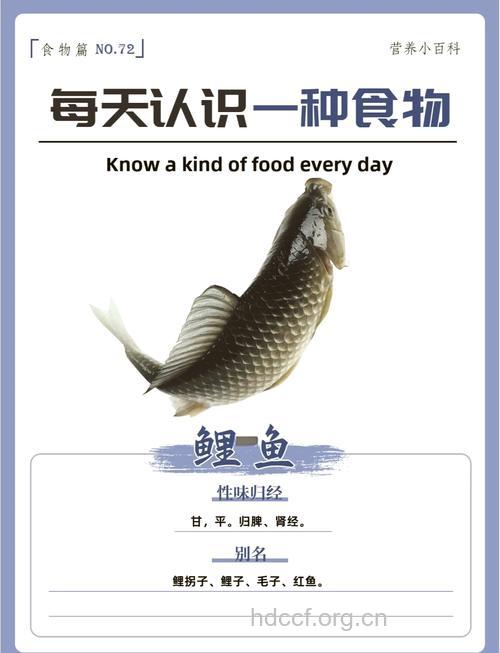 鲤鱼(食材百科)