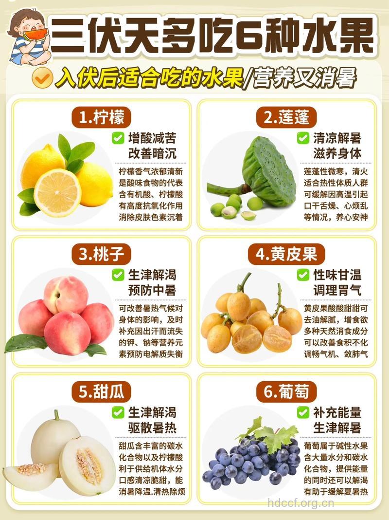 夏季应该多吃水果吗?