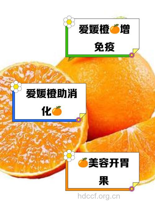 女性常吃橙子的5大种好处