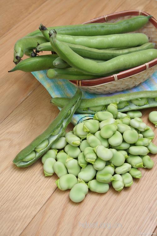 蚕豆（食材百科）