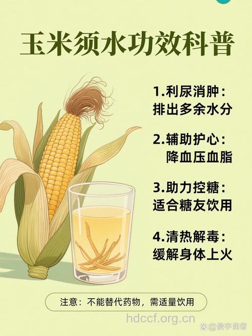 玉米须煮水有哪些功效呢？