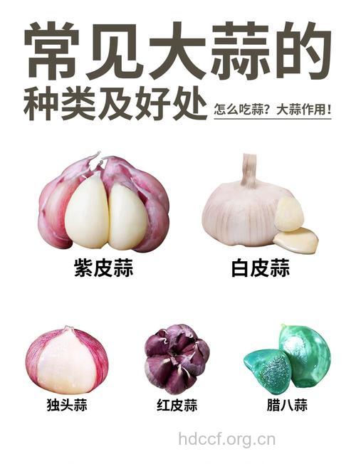 大蒜(食物百科)