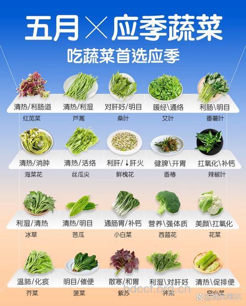 5类蔬菜 秋季应该多吃