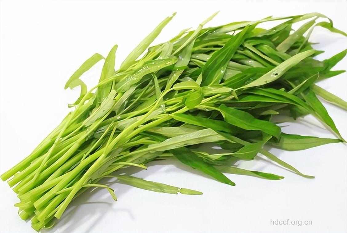 空心菜