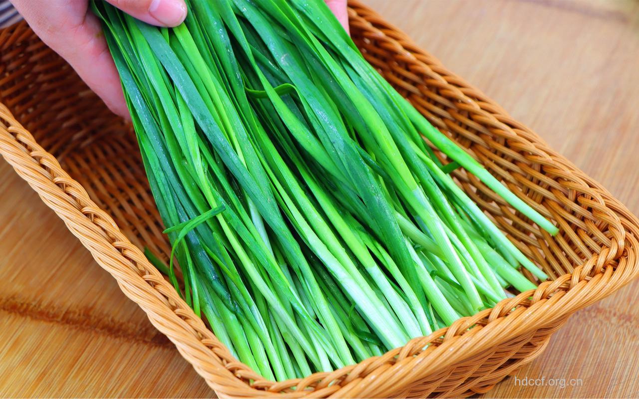 韭菜(食物百科)