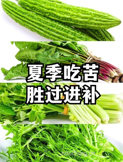 初夏多食苦味蔬菜调和脾胃醒脑提神