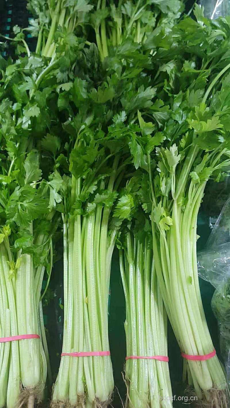 芹菜