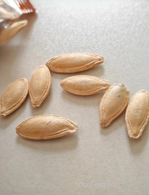 南瓜子（食物百科）