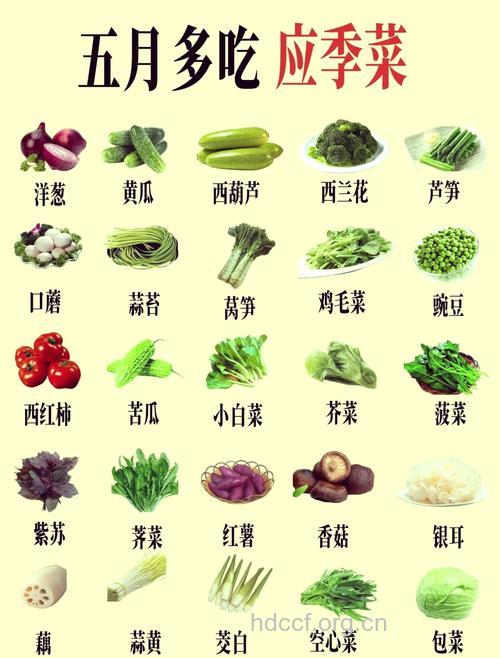 五月初夏 吃这14种蔬菜就够了