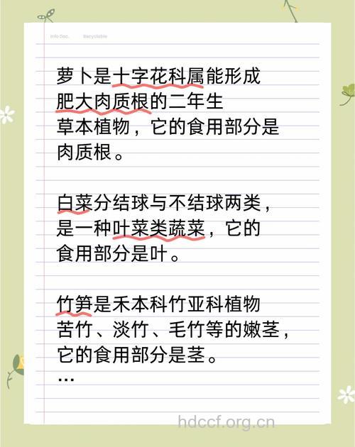 吃蔬菜 吃哪个部位好
