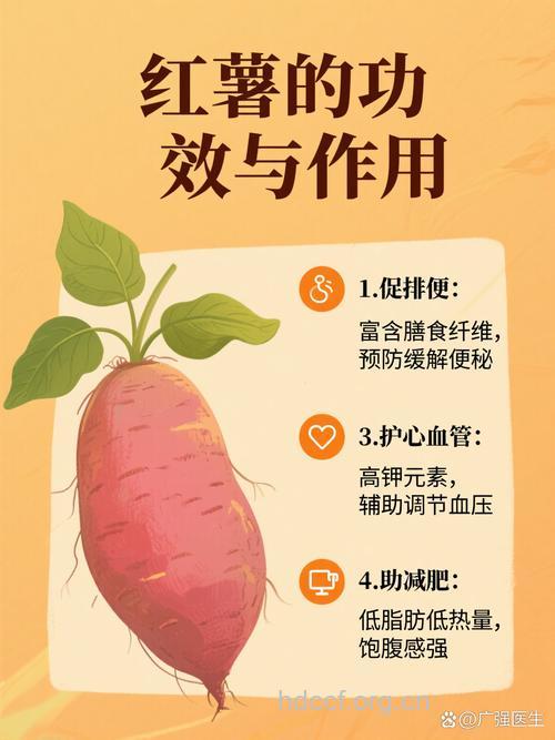 秋季吃红薯抗癌又减肥