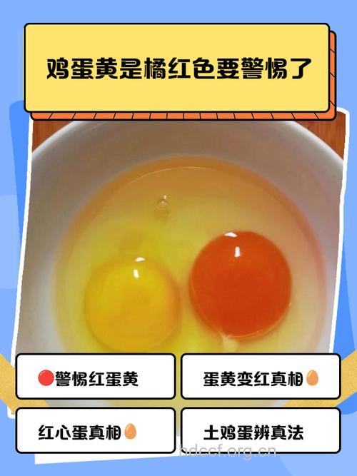 鸡蛋黄