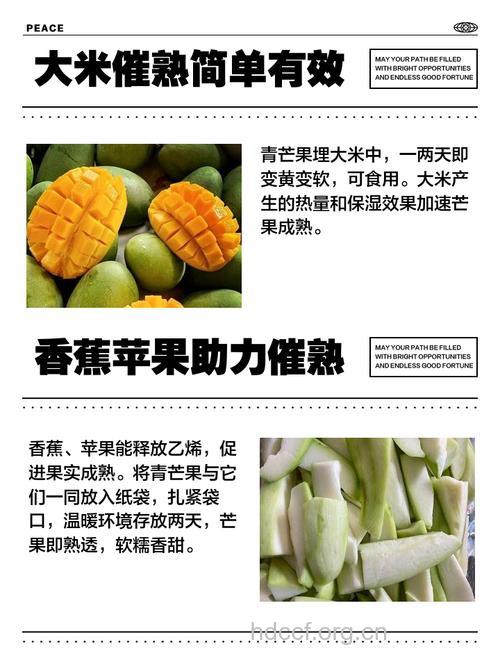 怎么催熟青芒果?3种方法帮助你