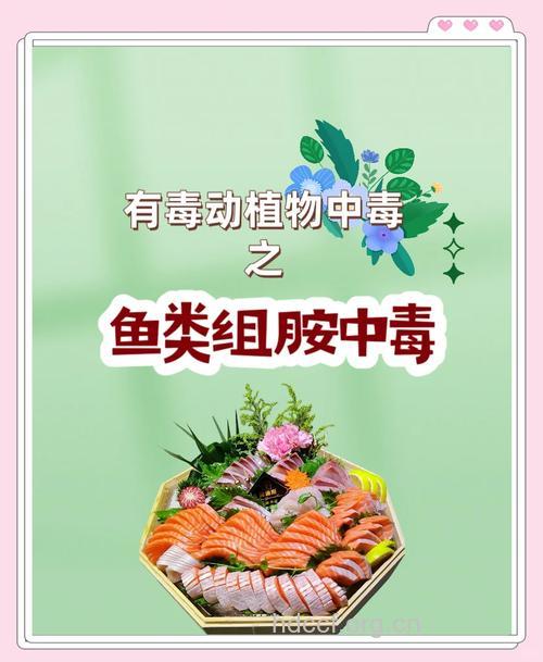 夏天吃鱼需小心 组胺中毒要远离