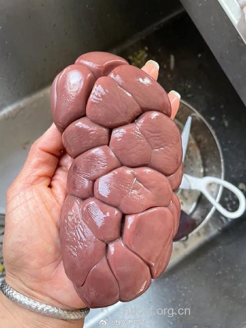 牛腰子