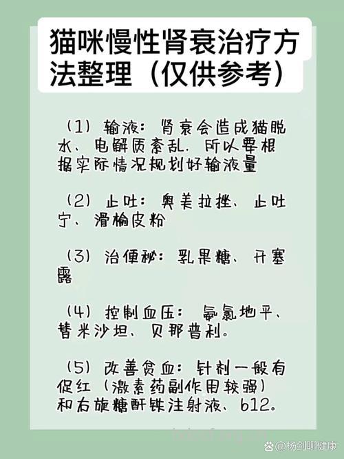 慢性肾衰竭怎么治疗呢