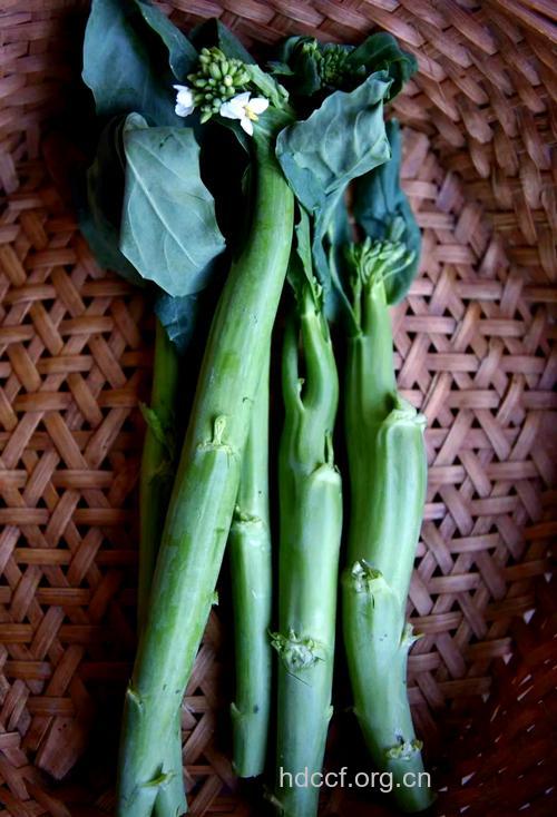 芥蓝（食材百科）