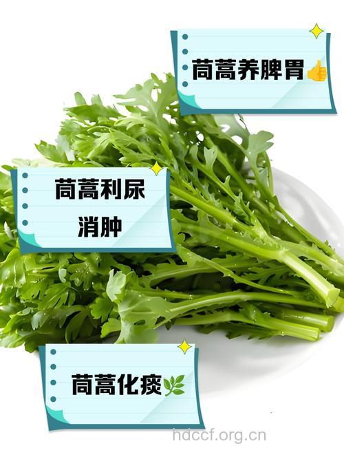 这菜能治7种病 堪称皇帝菜