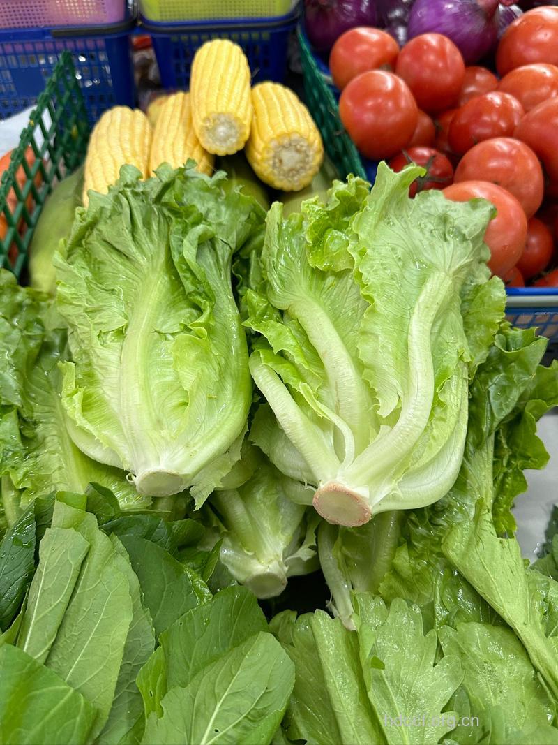 生菜