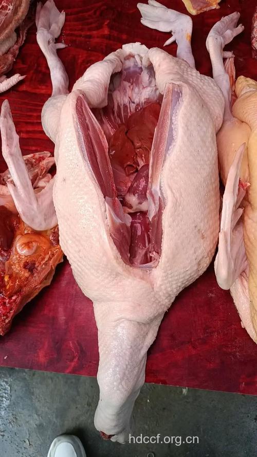 鸭肉