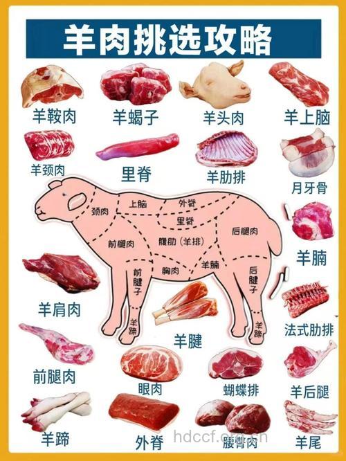 羊肉（食物百科）
