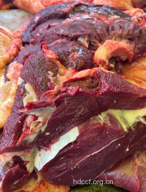 黄牛肉