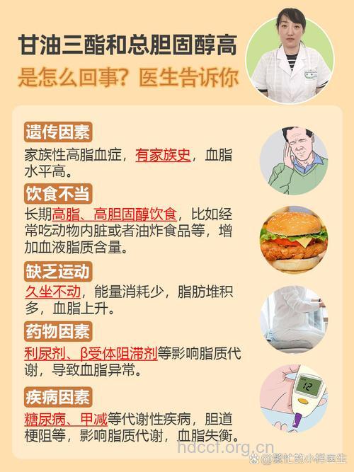 甘油三酯是什么 引起甘油三酯高的原因有哪些