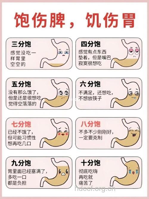 男人每顿吃太饱 易致胃病和阳痿