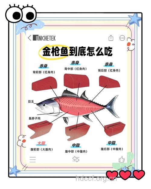 吃鱼就吃这些部位 你不会后悔