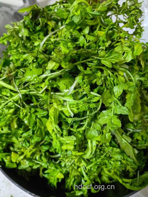 春季保健吃野菜