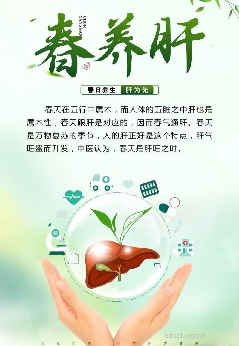 春季养生抗肿瘤