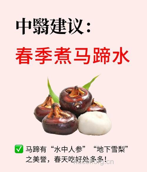 春季防流感吃荸荠