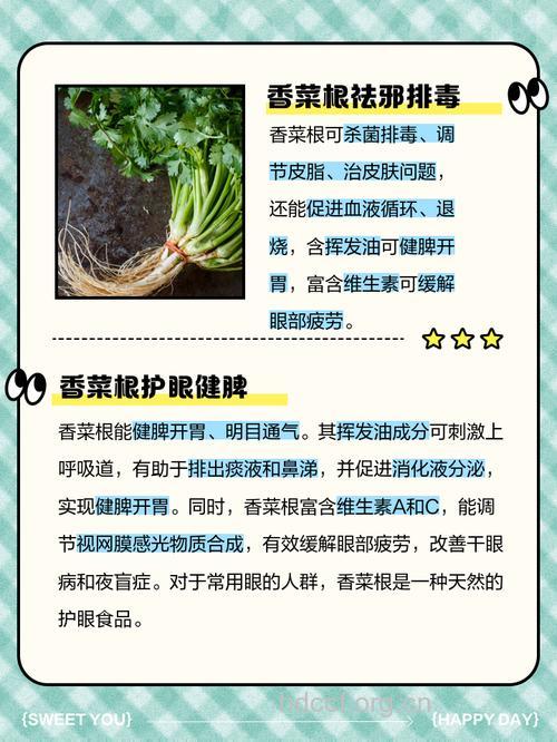男性常吃香菜好处多 壮阳助性还养生