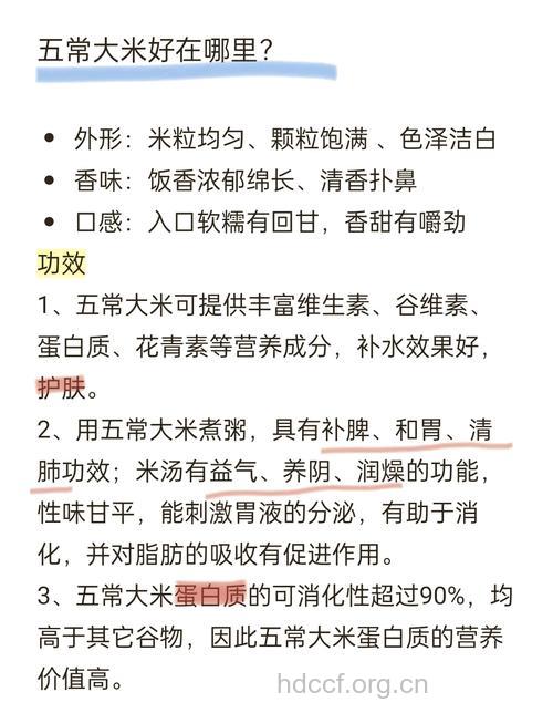 天天吃米饭 大米的营养知多少