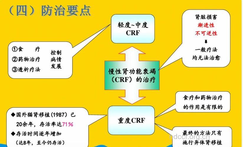 慢性肾衰有哪些发病机理