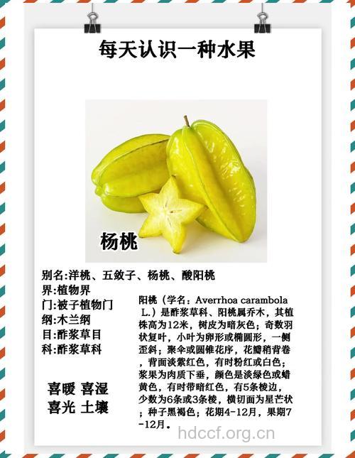 抗病消食止渴 盘点杨桃的功效与作用