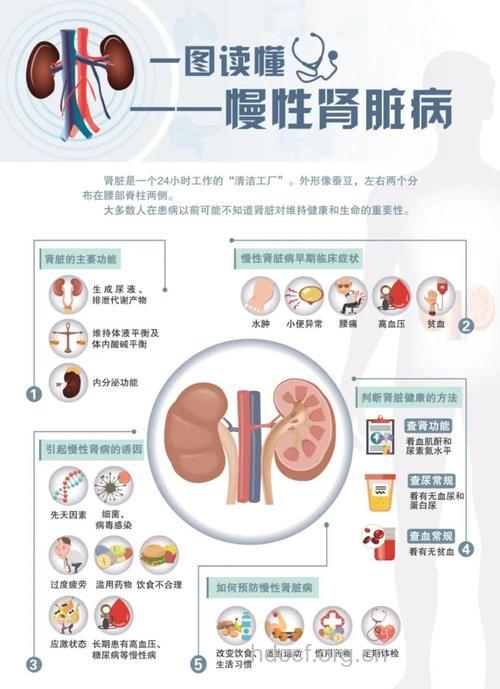 关于慢性肾衰有哪些病根