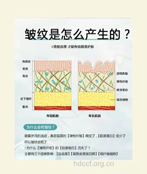 你知道皱纹是如何产生的吗?