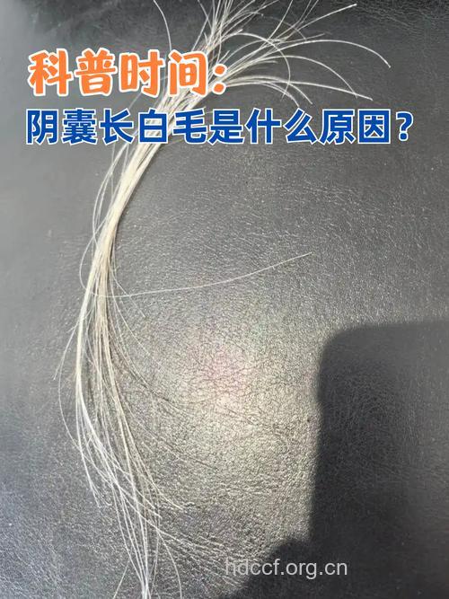 男性这处不长毛就是体虚症状
