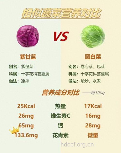 这些蔬菜长得像但营养不同