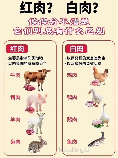 红肉PK白肉 哪种肉更好
