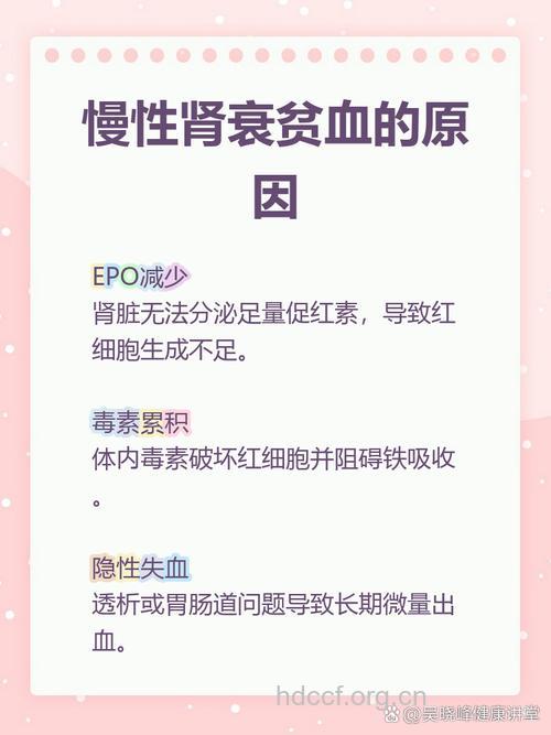 导致慢性肾衰竭贫血的原因
