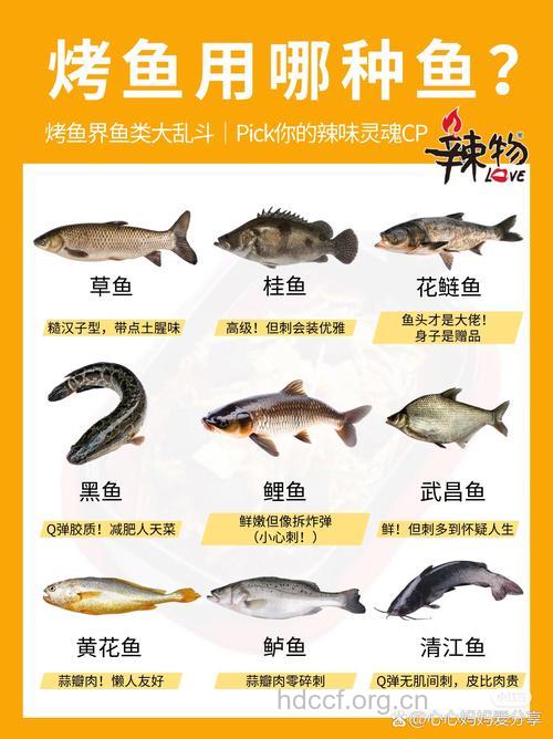 9种鱼最适合冬季食用
