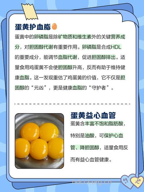 蛋黄和蛋白究竟哪个营养高